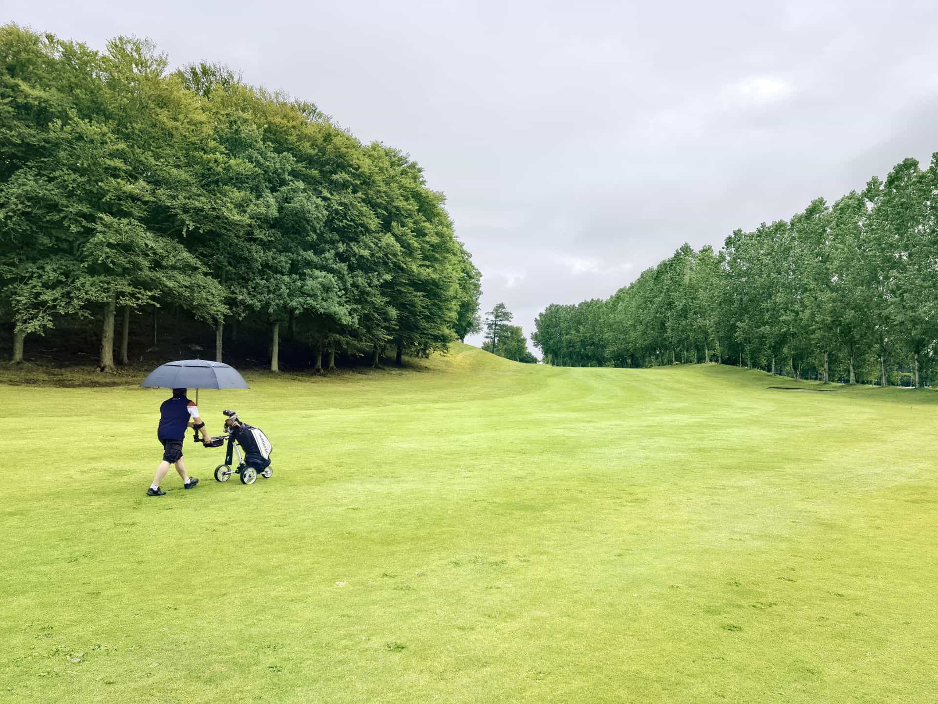A golf umbrella open against a plain background